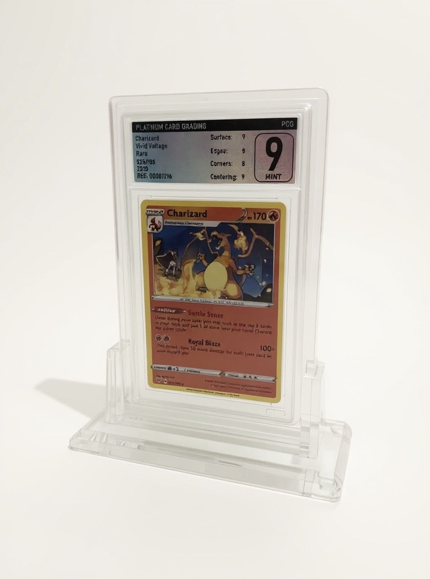 Elevate Your Collection, Preserve Your Memories